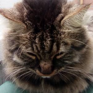 Meet your Posher, Jacobo